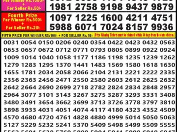 Lottery Result Today July 23, 2024