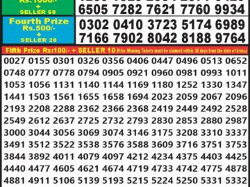 Lottery Result Today July 13, 2024