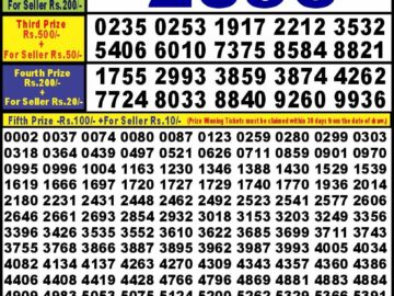 Lottery Result Today July 28, 2024