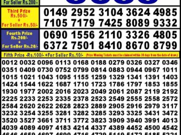 Lottery Result Today August 16, 2024