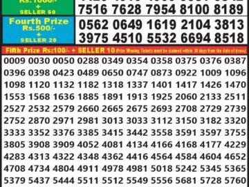 Lottery Result Today August 17, 2024