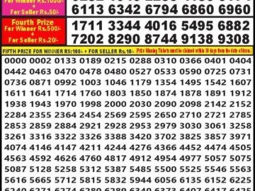 Lottery Result Today August 31, 2024