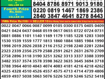 Lottery Result Today August 24, 2024