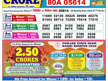 Lottery Result Today August 13, 2024