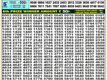 Lottery Result Today August 3, 2024