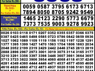 Lottery Result Today August 29, 2024