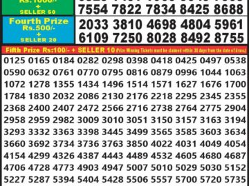 Lottery Result Today August 31, 2024