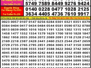 Lottery Result Today August 20, 2024