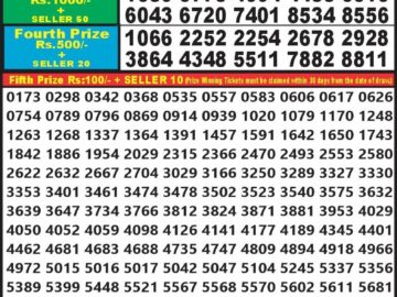 Lottery Result Today August 25, 2024