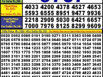 Lottery Result Today August 17, 2024