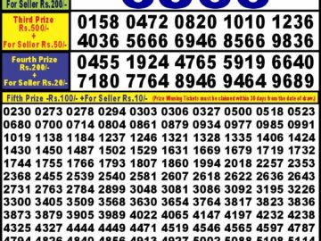 Lottery Result Today August 14, 2024