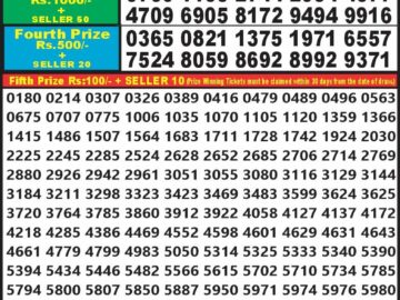 Lottery Result Today August 11, 2024