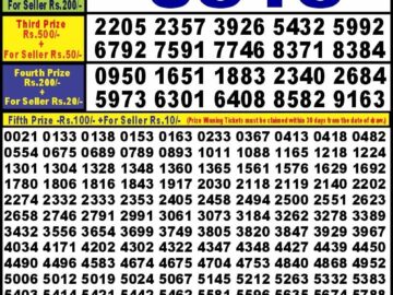 Lottery Result Today August 25, 2024