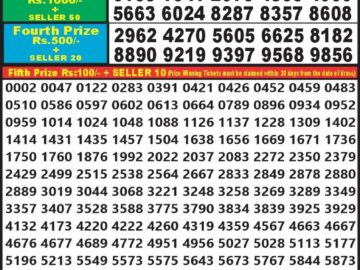 Lottery Result Today August 3, 2024