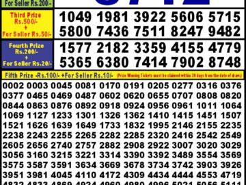 Lottery Result Today August 11, 2024