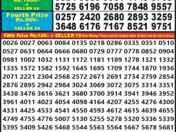 Lottery Result Today August 12, 2024