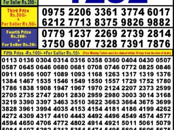 Lottery Result Today August 13, 2024