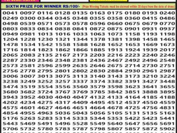 Lottery Result Today August 13, 2024