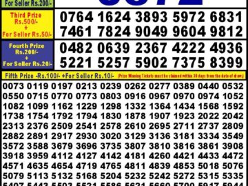 Lottery Result Today August 24, 2024