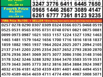 Lottery Result Today August 8, 2024