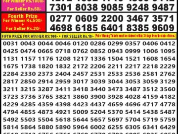 Lottery Result Today August 12, 2024