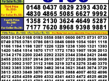 Lottery Result Today August 10, 2024