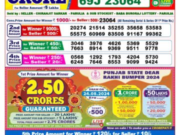 Lottery Result Today August 11, 2024