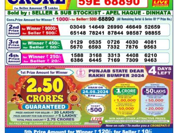 Lottery Result Today August 20, 2024