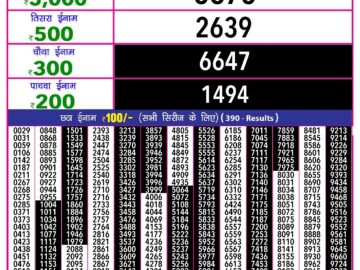 Lottery Result Today August 28, 2024