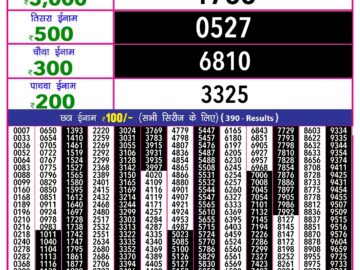 Lottery Result Today August 13, 2024