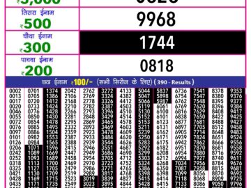 Lottery Result Today August 25, 2024