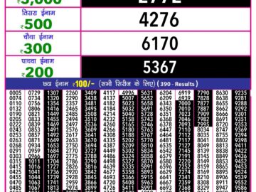 Lottery Result Today August 24, 2024