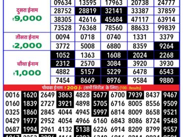 Lottery Result Today August 20, 2024