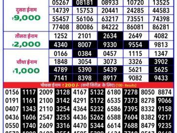 Lottery Result Today August 11, 2024