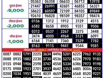 Lottery Result Today August 25, 2024