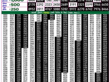 Lottery Result Today August 7, 2024