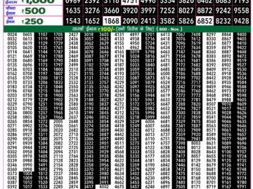 Lottery Result Today August 14, 2024