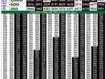 Lottery Result Today August 21, 2024