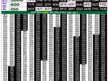 Lottery Result Today August 28, 2024