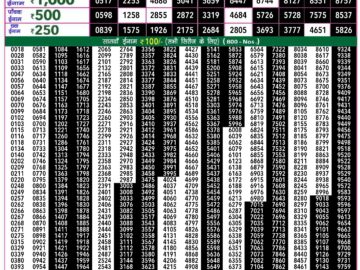 Lottery Result Today August 1, 2024