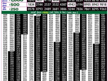 Lottery Result Today August 8, 2024