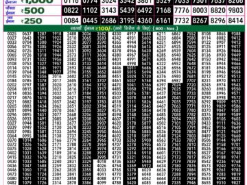 Lottery Result Today August 22, 2024