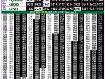 Lottery Result Today August 29, 2024