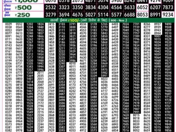 Lottery Result Today August 13, 2024