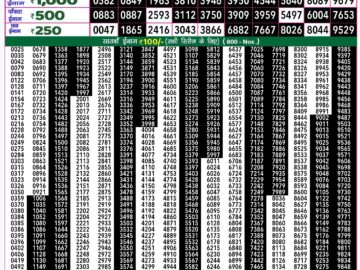 Lottery Result Today August 20, 2024