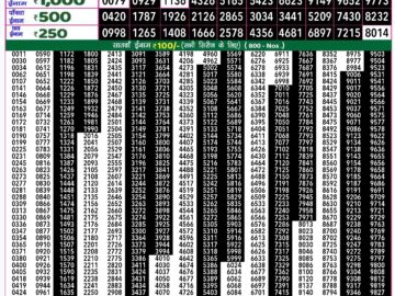 Lottery Result Today August 27, 2024