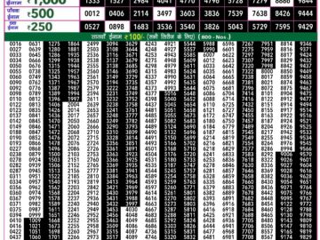 Lottery Result Today August 4, 2024