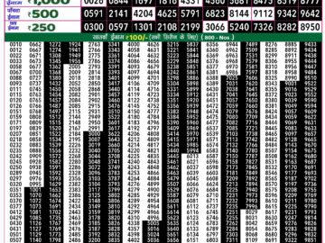 Lottery Result Today August 11, 2024