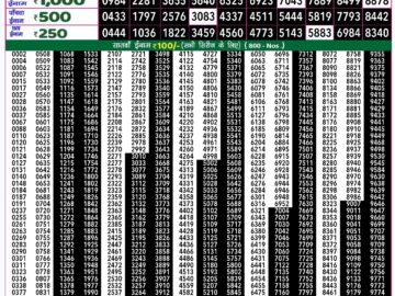 Lottery Result Today August 18, 2024