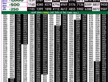 Lottery Result Today August 25, 2024